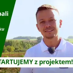 Dom z bali: Budowa krok po kroku, koszty i sekrety trwałego domu