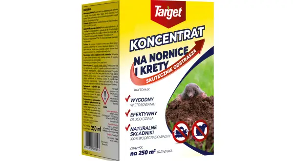 Kotwy do huśtawki Castorama: Wybierz i zamontuj bezpiecznie!